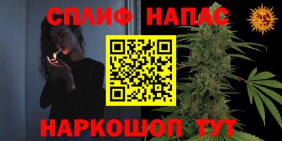 мет Дубна