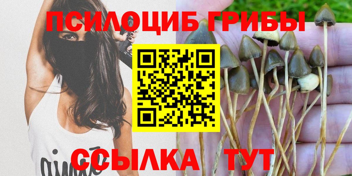 Псилоцибиновые грибы Magic Shrooms Лангепас
