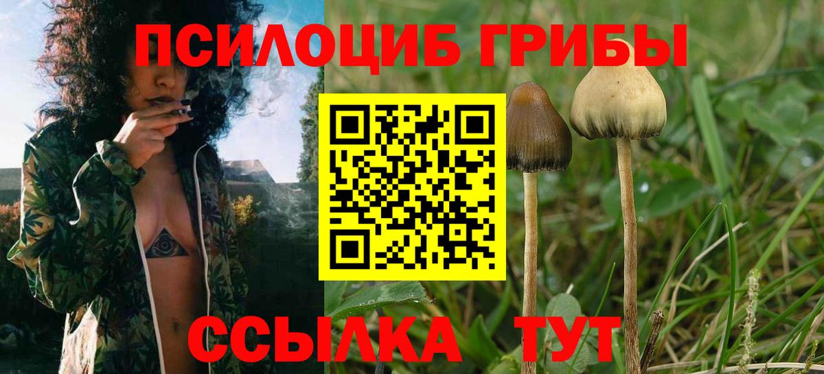 Псилоцибиновые грибы ЛСД  Вход с VPN  Лангепас 
